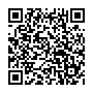 To view this 2020 Alfa Romeo Stelvio Bellmore NY from Auto Connection NY, please scan this QR code with your smartphone or tablet to view the mobile version of this page.
