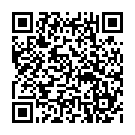 To view this 2021 Alfa Romeo Stelvio Bellmore NY from Auto Connection NY, please scan this QR code with your smartphone or tablet to view the mobile version of this page.