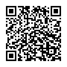 To view this 2013 Hyundai Elantra GT Bellmore NY from Auto Connection NY, please scan this QR code with your smartphone or tablet to view the mobile version of this page.